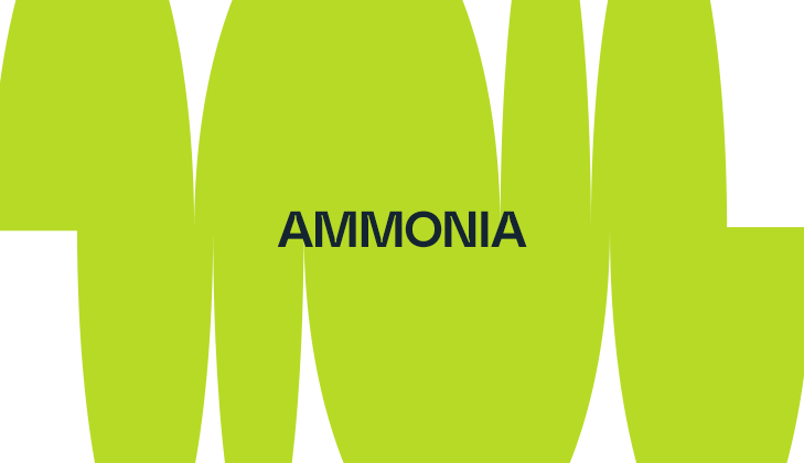 Integrated Hydrogen & Ammonia Complexes for a Low-Carbon Future