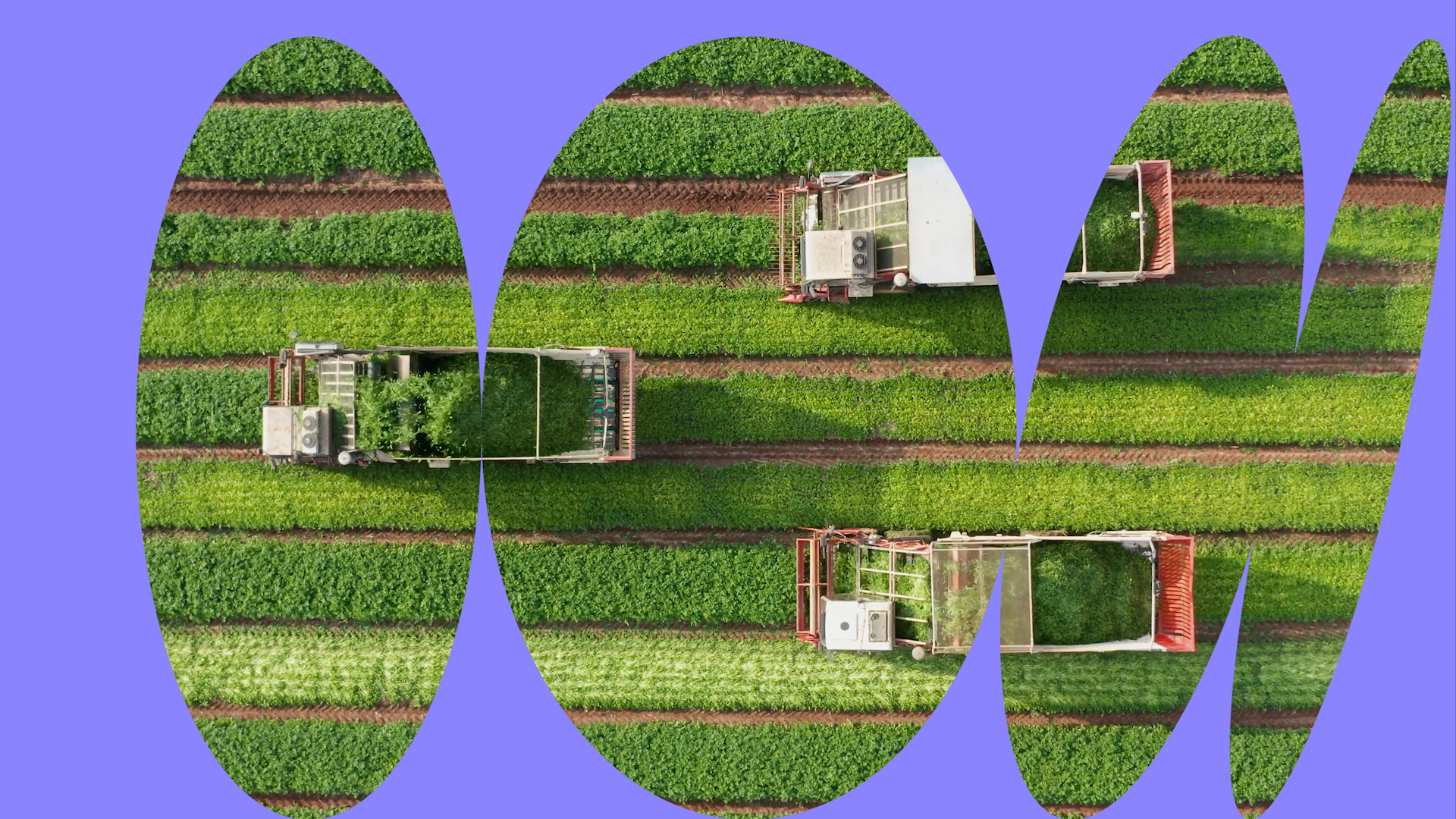 We’re NEXTCHEM: Designing Sustainable Technologies